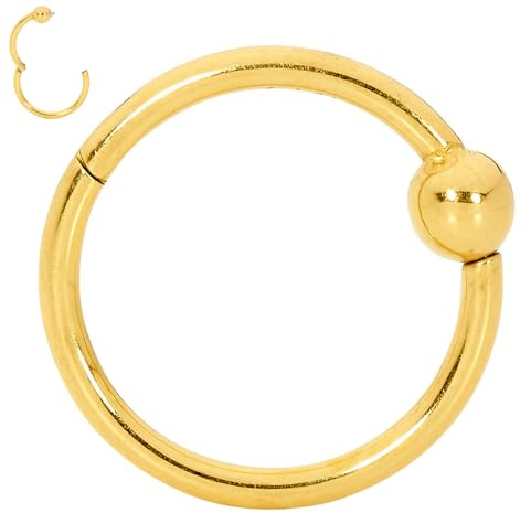 365 Sleepers 316L Chirurgenstahl Nasenring, 0.8mm 1.0mm 1.2mm 1.6mm Unisex Knorpel Knorpel Septum Lippen Nasen Klappbarer Clicker Segmentring Conch Daith Helix Rook Tragus Kreolen