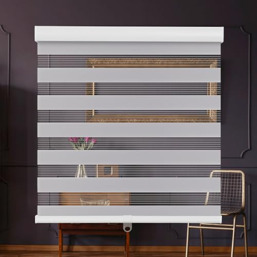 SMONTER Cordless Zebra Blinds for Windows Zebra Roller Shades with Metal Valance Free Stop Dual Layer Sheer Blinds Day Night Privacy Light Filtering, W27 x H72, Light Grey