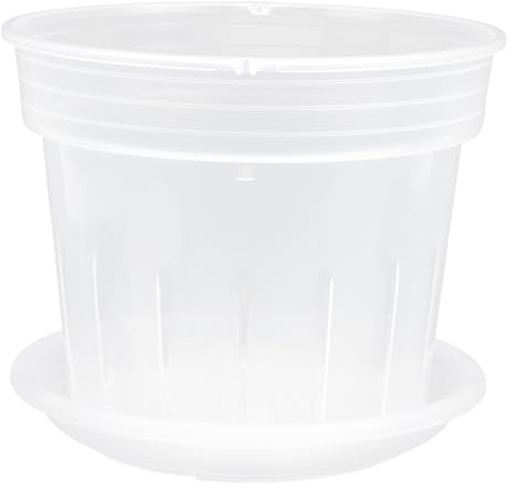 HEMOTON 1 Satz Transparenter Orchideentopf mit Löchern, aus Pp für Garten | Leicht, Wasserdurchlässig und Atmungsaktiv, Geeignet für Stecklinge und Pflanzen, Weiß