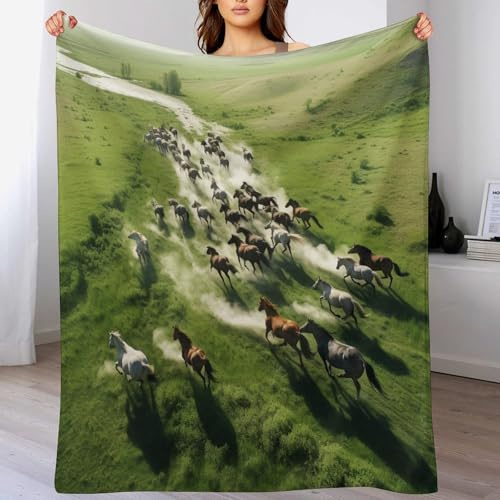 AASWDDS Couverture Polaire Cheval, en Flannel Douce Chaude Et Confortable, pour Canapé Ou Lit. Linge De Lit Couvre-lit Couvertures 100×130cm