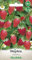 WegAna Fragola selvatica Rujana Semi 0,2g Semi di frutta perenne Fragole selvatiche Semi di verdura, Semi di verdura Semi di coltivazione per giardino in serra