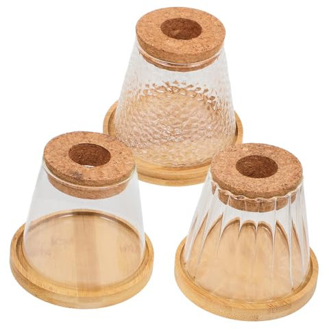 Yardwe 3er-Pack Glasflaschen Für Hydrokulturpflanzen Vase Pflanzenanzuchthalter Schreibtischdekoration Für Büro Oder Zuhause