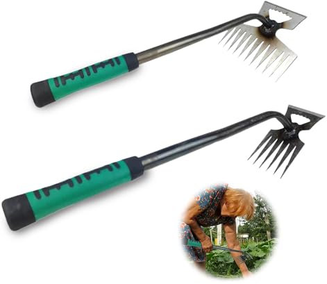 XPJBKC 2 Pezzi Estirpatore Erbacce, Sarchiatore per Erbacce, Sarchiatore Manuale con Manico, Arieggiatore per Prato Manuale, Attrezzi Giardinaggio Attrezzo per la Rimozione delle Erbacce Giardino