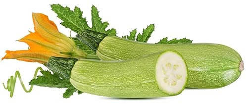 Semi ZUCCHINE GENOVESI In Busta Ermetica MADE IN ITALY Qualità superiore con 95% di germogliazione con istruzioni