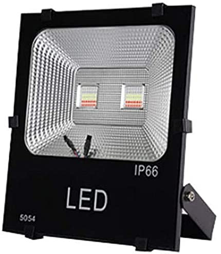 Generico Proiettore a LED, faretto da Esterno Impermeabile a Colori RGB per Giardino, Paesaggio, Verde, Prato (100 W RGB colorato)
