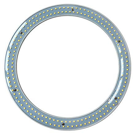 T9 LED Circline Light Bulb, 12 Inch 2700LM LED Circular Ceiling Light, 22W Clear Cover 6000K Daylight Replacement for 32W Circular Fluorescent Light Bulb(FC12T9), Ballast Bypass Required