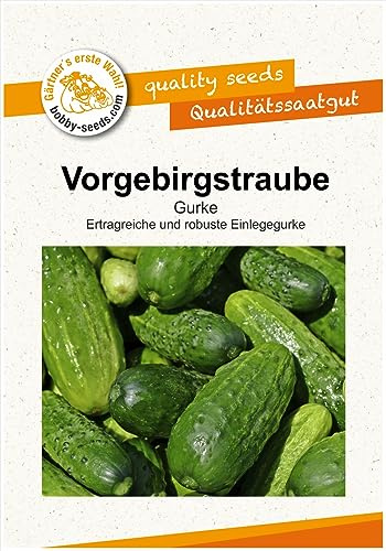 Gurkensamen Vorgebirgstraube Einlegegurke Portion