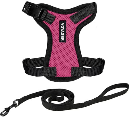 Voyager lås- och justerbar kattsele, med insteg och Kattkoppel, komboset med neoprenhandtag, 1,5 m, stöder små, medelstora och stora kattraser, fuchsia/svart kant, XXXS