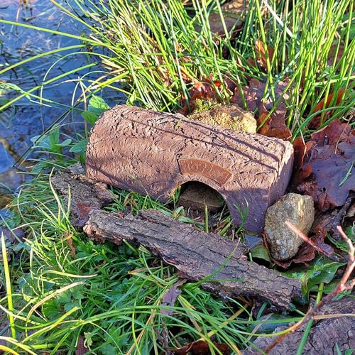 Wildlife World SKFROGLOG