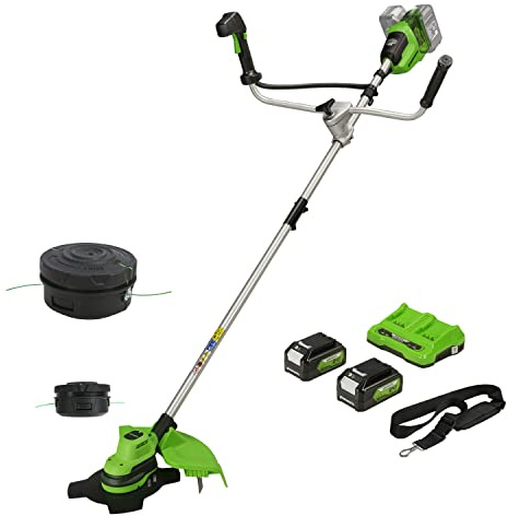 Greenworks Tagliabordi e Decespugliatore 48V(2×24V) 38cm, Testa del Tagliabordi con 2 Batterie 4 Ah e Caricatore