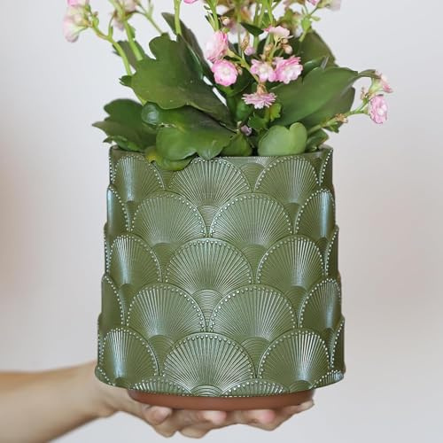 AmiCera Pearl Grün Skala Blumentopf, Bunt Pflanzentopf mit Drainage, Eklektische Niedlichen Kleinen Übertöpfe für Zimmerpflanzen, Regenbogen Lustige Sukkulenten Gartenarbeit Topf Geschenke