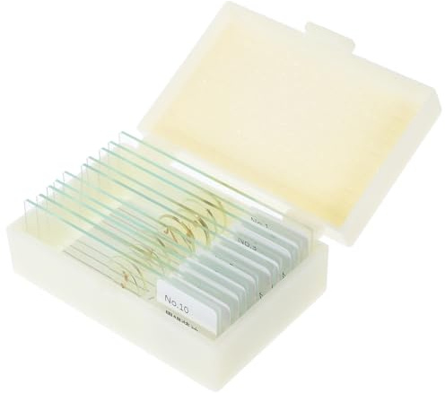 Toyvian 10pcs Prepared Microscope Slides Insect Specimens Glass Biology Class Props Educational Gift for Student Microbiology Science