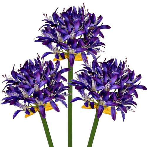 Hollyone 3PCS künstliche Agapanthus Blumen für Dekoration, 30'' Long Stem Real Touch Fake afrikanischen Lilie Blumen violett, Faux Seide Lilie Blume für Frühling Home Office Hochzeit Tisch Centerpiece