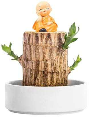 Planta de Madera brasileña, decoración de Plantas de Interior - decoración de Madera con Estatua de Monje para Dormitorio estudiantil Dormitorio, balcón, baño, terraza