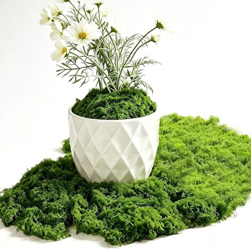 AONAT 200g Musgo Artificial, Musgo Artificial Decoracion, Musgos Falso para Decoración de Manualidades, Decorar Hogar, Acuario Planta, Bricolaje, decoracións de Jardín de Hadas y Decoracións de Bodas