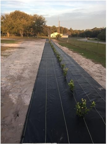 Kraftigt ogräsbarriärtyg – 60 cm brett marktäcke för trädgårds- och blomsterbäddar, ogräsbekämpning, landskapstyg tillgängligt i 10 m till 300 m längder (0,6 m x 10 m/2 fot x 33 fot)