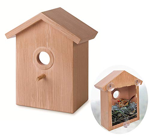 D88DS Wetterfestes Vogelhaus Set mit Futterhaus und Nistkasten für Meisen – Holz-Vogelhäuschen für Garten oder Balkon, Dekorativ und Stabil, Ideal für Ganzjahresfütterung