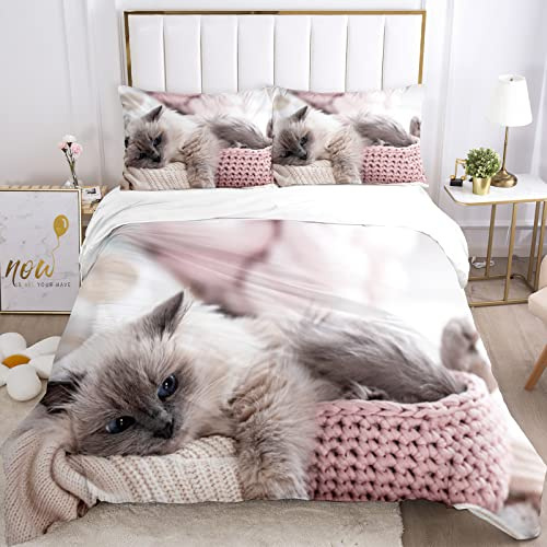 JEFFEL Katzen Bettwäsche Set 135x200 Tiermotiv Kinderbettwäsche Katzenmuster Bettbezug Set mit Bettbezug und Kissenbezug (135 x 200 cm, Cat-5)