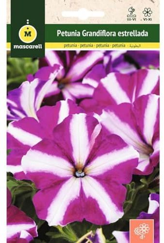 Mascarell Semillas, PETUNIA GRANDIFLORA ESTRELLADA, Semillas Flores Exterior para Decoración, 0,2 Gramos