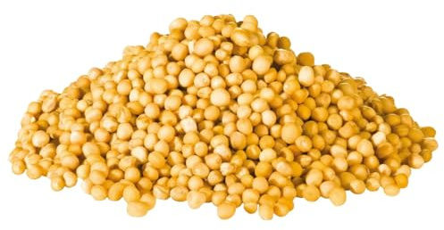 Senape Gialla Grani 500g: Semi di Senape Gialla Interi, Qualità Premium per Marinature, Salse e Sottaceti | Aroma Intenso e Naturale, Essenziale in Cucina.