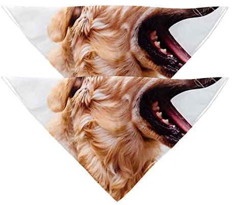 Hundehalstücher, 2er-Pack Haustierschal, Haustierzubehör, süße Welpenhalstücher,Golden Retriever Tier