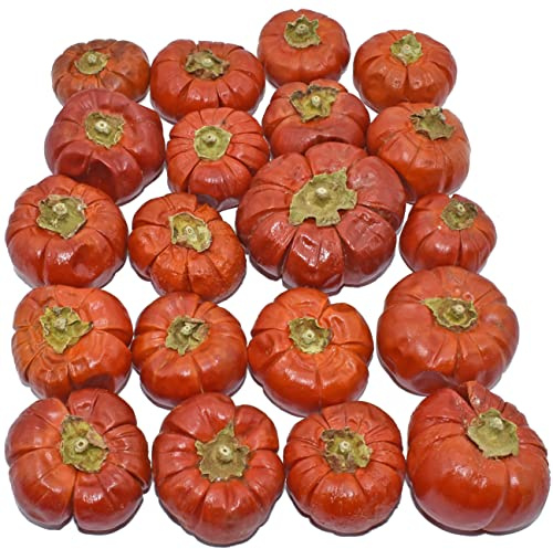 Falcon Workshop Supplies Ltd 20 DRIED MINI PUMPKIN SOLANUM WHOLE FRUIT, HALLOWEEN CHRISTMAS CRAFT WREATH FLORIST