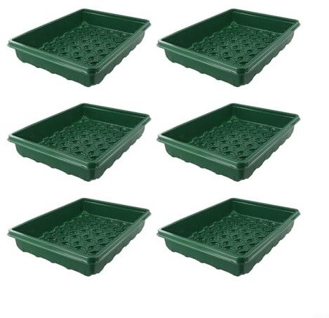User Friendly Care Box Designed for Succulent Cutting Growth, Simplifying Maintenance Tasks (Green)