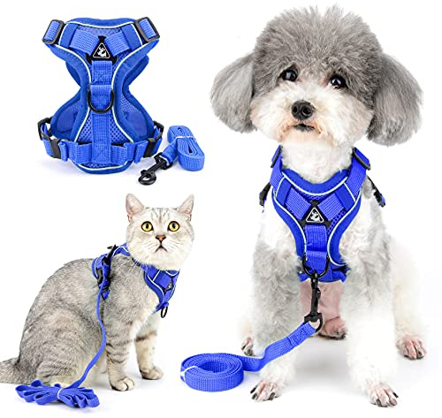 Ranphy Hundegeschirr und Leine für kleine Hunde, reflektierend, ausbruchsicher, atmungsaktiv, verstellbar, Brustgeschirr, Wanderjacke für Outdoor-Training