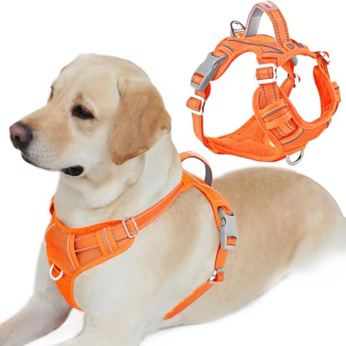 BARKBAY Dog Harness No Pull with ID Tag Pocket - Heavy Duty, Reflective, Easy Control for Large Dogs(Orange,L)