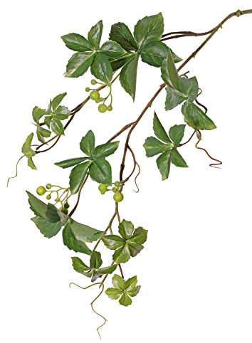 artplants.de Jungfernreben Zweig künstlich AMYCUS, Früchte, grün, 80cm - Zaunreben Kunstzweig