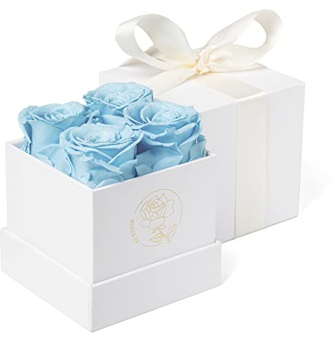 DuHouse 4 x konservierte Rosen, Box mit ewigen Rosen, konservierte Blumen für Valentinstag, Geburtstag, Erntedankfest (Himmelblau)