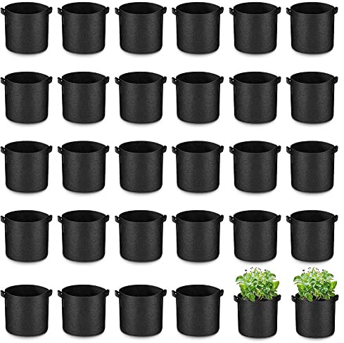 Airsnigi Kartoffel Pflanzsack, 30 Pack Kartoffelsack Zum Pflanzen Mit 2 Griffen, Verdickte und Atmungsaktive Vliestöpfe für Gemüse, Obst, Blumen, Kartoffel (10 Gallonen)