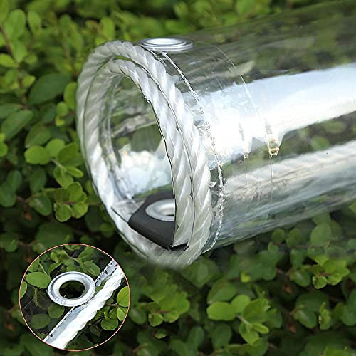 Telone in PVC trasparente, impermeabile, spessore 0,35 mm, copertura protettiva per piante, per uso esterno, resistente alle intemperie, resistente, resistente ai raggi UV, ideale per serre, 6 m x 6 m