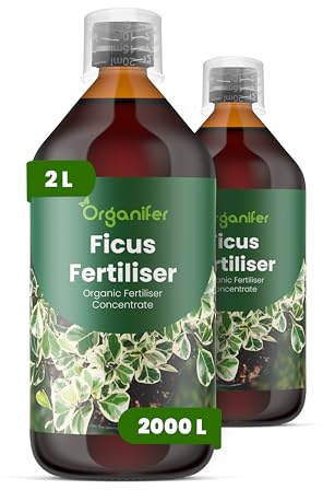 Organiskt flytande gödsel 2x1L för Fikus – frodiga blad och stark tillväxt - Organifer
