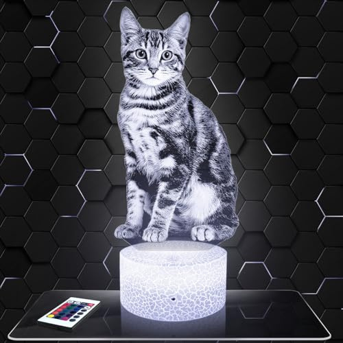 Lampephoto.fr - Katze 3D Lampe, Touch Nachtlicht, Deko Tier Kätzchen KatzeN. Geschenkidee Mann Frau objekt Katze Nachtlicht Erwachsene deko Zimmer, 3D Led Illusion TOP
