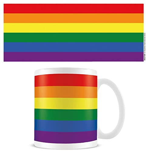 Pyramid International Pride Flag Ceramic Mug Multicoloured One Size