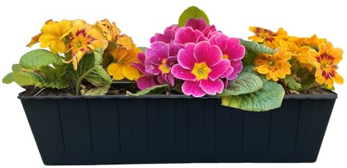 10 Paletten Blumenkästen 37,3cm anthrazit Kunststoff Einsatz | Hossi's Wholesale, Pflanzkästen aus stabilem Kunststoff für Europaletten, Balkon, Kräuterbeet und Garten, Made in Germany