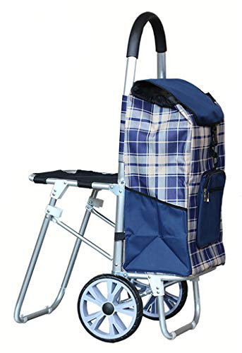 Carros de Mano Carro de Compras con Silla Carro Plegable Remolque pequeño Viejo Carro portátil Conductor Empuje Carro de Equipaje Carros/C3 (B2)