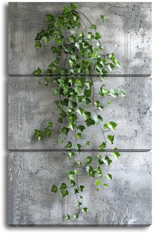 deyoli Ance di edera che crescono su un muro di cemento grezzo. Formato: 120 x 80 cm (3 pezzi) come tela, motivo già incorniciato su telaio in vero legno, stampa digitale di alta qualità con cornice