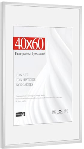 HIMEETIME® 1x Cadre Photo 40x60cm en Aluminium Argenté-Avec Passe-Partout 30x40cm-Grand Tableau 40x60 avec Plastification-Montage Mural Uniquement