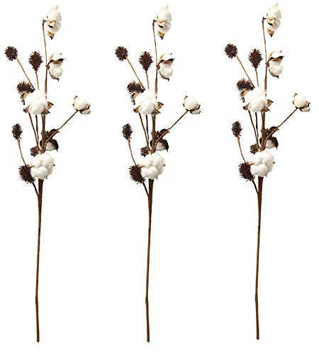 Aisamco 3 pezzi di steli di cotone Decorazione di fattoria Scelte floreali Stile rustico Riempitore per vaso Rami di cotone rustico 68cm Per stelo Decorazione Fiore