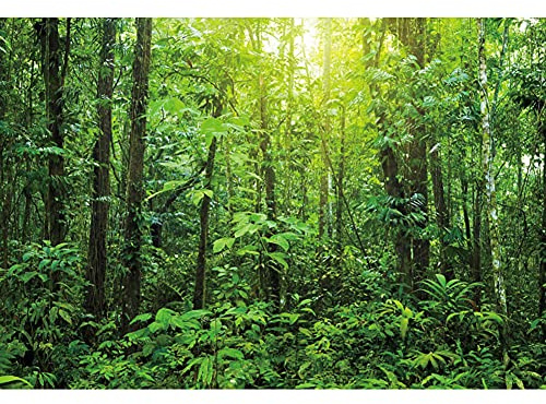 SDOTPMT 7x5ft Graceful Natural Scenery Polyester Backdrop Evergreen Forest Jungle Rock Flowing Mountain Stream Rainforest Photography Background Birthday Party Events Photo Studio Props