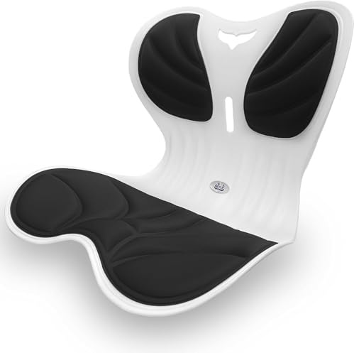 ＴＩＺＹＦＦ Lendenwirbelstütze Haltungskorrektor-Stuhl für Erwachsene – Großer ergonomischer Rückenstützstuhl zur Haltungskorrektur und Linderung von Rückenschmerzen – Tragbare Lendenstütze für Stühle