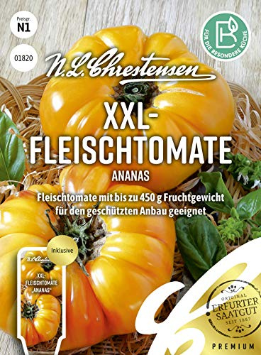 Chrestensen XXL-Fleischtomate Ananas Samen, Bis 450g, Gelb-Pink | Marmoriert, Fruchtig Süß, Gewächshaus Garten, Lycopersicon esculentum Saatgut, Samenfest, Beefsteak Tomate Salat Gourmet