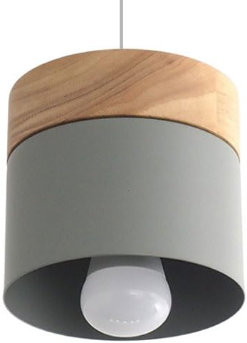 Lámpara Colgante de Metal de Estilo Minimalista Retro, Base E27, lámpara de Techo de un Solo Cabezal, luminaria empotrada, Ideal para Biblioteca, Oficina, Sala de reuniones y decoración.