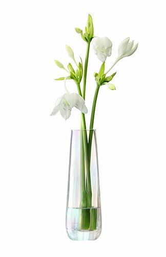 LSA International Vase, Glass, Mother of Pearl, H20cm
