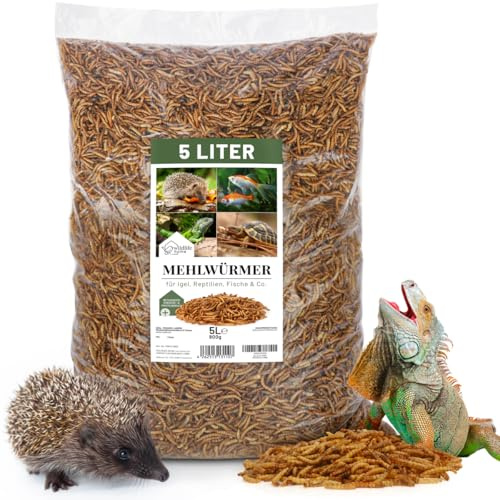 WILDLIFE HOME Vers de farine séchés - 5 l - Vers de farine séchés pour hérissons, hamsters, reptiles, etc. - Vers de farine séchés - Nourriture pour insectes