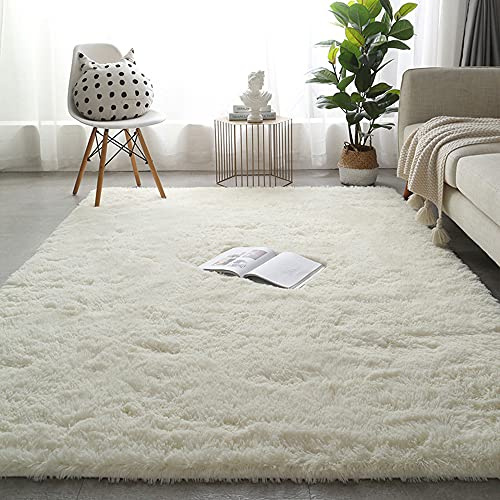Hruile Grand Tapis Moderne à Poils Longs antidérapant