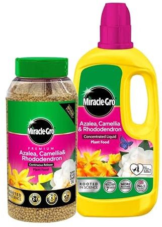 Ericaceous Plant Food Feed Fertiliser - Bundle of 900g Continuous Release Plant Feed Granules & 800ml Concentrated Liquid Plant Food. Garden Plants Fertilizer for Azalea, Camellia with Card