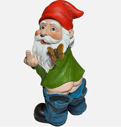 Nain De Jardin Résine Décoration Pour Jardin Terrasse Et Balcon Exterieurs Également Adaptée à l'Intérieur Statue Sculpture Style Humoristique Design Miniature Original Idéale Maison Doigt d'Honneur